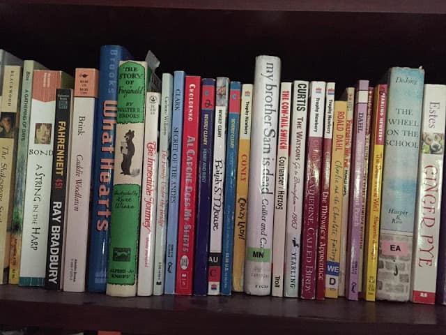 Shelf of Books homeschooling