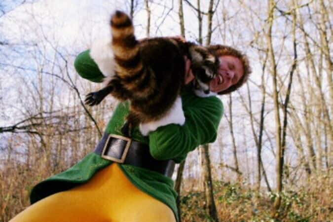 Buddy the Elf being attacked by a raccoon.